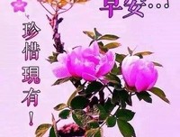 有关一个人也能好起来的句子