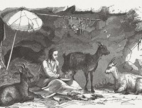 鲁滨逊漂流记句子大全