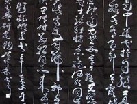 有关百字令的句子
