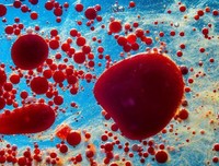 《科学的历程（修订第4版）》读后感锦集