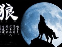 最全的《沧浪之水》经典句子大全