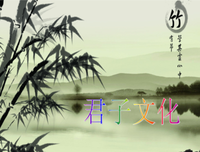 淑女的品格读后感摘抄