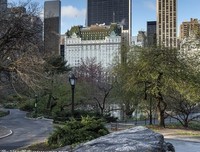 《天堂餐馆》好看吗？经典影评锦集