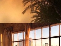 关于我宽恕了你的过去，虽然我对我们的未来只字未提。
