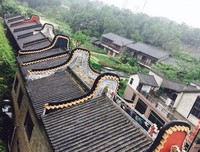 我甘绿叶，在底层拿个满意的工资就行了
