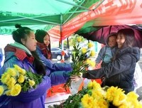 一宵冷雨葬梨花句子大全