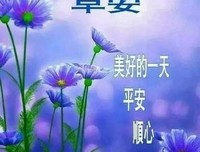 为声中与汝相识优美的句子