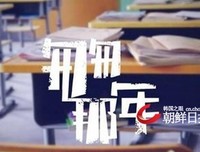 关于着了你的全天每将也都时可开过，张嘉佳的优美句子