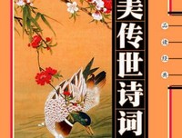 中国八大诗人读后感摘抄