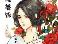 《良陈美锦·终章》读后感精选