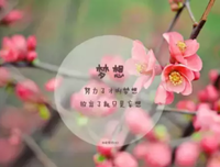 关于黑暗系列的优美句子