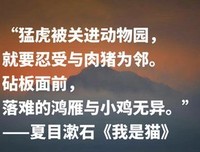 最新的《好小猫》好段摘抄大全