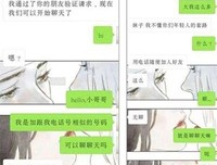 雅俗共赏的句子
