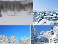 《鬼作家》读后感锦集