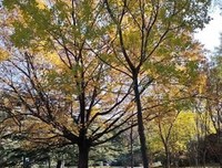空灵佳镜经典的句子