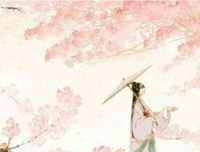 说个说个红莲夜的句子