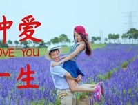 关于钟爱的优美句子