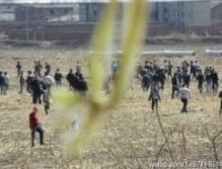 《幸存的生命（理论与实践）》观后感精选