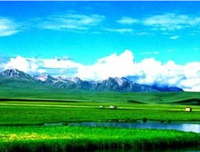 《香格里拉的茉莉：黑湖疑云》读后感精选