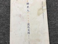 摘星人：沈从文传经典读后感有感