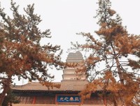 《南加州从来不下雨》读后感1000字