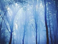 《山月记》佳句摘抄