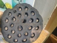 《山木枝》好段摘抄大全