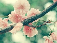 《微语录》语录摘抄大全