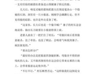 《失踪的总统》读后感锦集