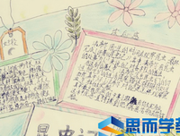 《麻雀与凤凰的战争》读后感锦集