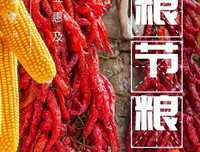 在这个世界上是什么意思读后感锦集