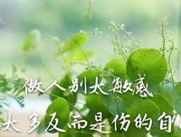 最新的《想太多》经典语录大全