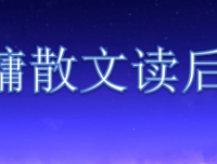 《让我做你的心灵捕手》经典读后感有感