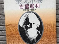 吉檀迦利读后感1000字