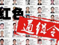 《非法入境》的观后感大全
