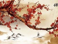 后没君自向金当经典的句子
