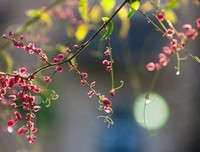 2017意大利谚语经典名句