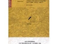 青年艺术家画像的读后感大全