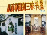 《深夜书房》的读后感大全