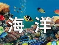 《海边理发店》经典读后感有感