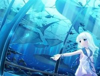 《契诃夫的一生》读后感100字