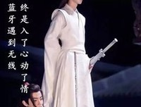 关于只羡鸳鸯不羡仙的优美句子