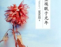 最全的《尘埃眠于光年》小说摘抄