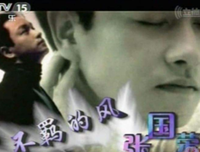 《不羁的风：张国荣亲笔图文随笔集》的读后感大全