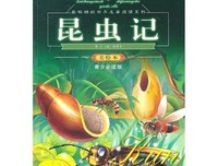 那不勒斯的萤火经典读后感有感