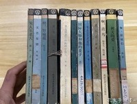 《流浪者之歌》读后感锦集