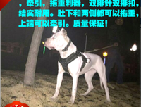 《练习一个人》读后感精选