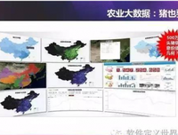 《小猪教室》经典影评1000字