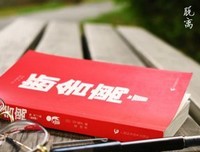 双眼台风读后感100字