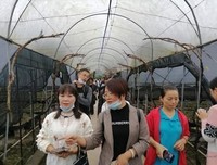 人生最大的障碍来自你深深的内心